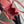 ZAINO PICCOLO 18 PELLE D'AGNELLO ROSA