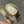 SERPENTI SPIGA GOLD SILVER CERAMIC WHITE DIAL