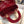 MINI LADY 17 MY ABC RED CALFSKIN