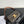 CLASSIC TRIOMPHE 20 BROWN MONOGRAM CALFSKIN