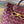 BV SMALL ANDIAMO 25CM DARK RED LAMBSKIN