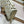 MISS LADY 21 BUTTERFLY STUD WHITE LAMBSKIN