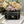 MISS LADY 21 BUTTERFLY STUD BLACK LAMBSKIN
