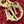 MEDIUM LADY D-JOY 26 VITELLO VERNICIATO ROSSO