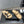 CC 25SS Flower Buckle Platform Beach Slides in Beige Cowhide