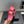 CC 25SS Flower Buckle Platform Beach Slides in Rose Pink High-Mercerized Sardine