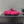 CC 25SS Flower Buckle Platform Beach Slides in Fuchsia Pink High-Mercerized Sardine