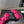 CC 25SS Flower Buckle Platform Beach Slides in Fuchsia Pink High-Mercerized Sardine