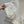 Giacca BV 25S Collo in pelle di pecora in cotone bianco