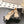 CC 25s Coco Beach Mary Jane Flats Beige and Black Mesh Cowhide 329017
