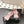 CC 25s Coco Beach Mary Jane Flats Pink and Black Mesh Cowhide 329018