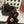 CC 25s Logo Slippers Chocolate Brown Shearling 455080