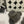CC 25s Logo Slippers Gray Shearling 455073
