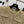 CC 25 Wool Gold Yarn Tweed Suit