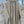 CC 25B Hidden Logo Trench Long Coat Beige Cotton
