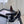 CC 25B Mary Janes 85mm High Heel Pearl Strap Black Sheepskin