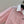 Miumiu Detachable Cuff and Collar Shirt Pink Cotton