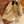 Miumiu Mid-Length Corduroy Collar Trench Coat Beige Cotton