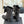 CC 25A Pleated-Collar Bow-Tie Stretch Ankle Boots Black Lambskin 473355