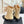 CC 25A Pleated-Collar Bow-Tie Stretch Ankle Boots Beige Lambskin 473354