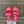 CC 25 Sandals Pink Rope and Sheepskin 473363