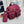 Pra Classic Large Backpack Red Nylon 267172
