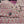 CC 25F V-line Neck Vest Pink Cotton