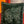 HM Double-Sided Square Scarf 140cm Dark Green Cashmere 828712