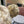 PRA 25 CAPPELLO IN LANA JACQUARD FAIR ISLE LAVORATO A MAGLIA MARRONE 822425