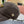 PRA 25 BASEBALL CAP GRAY VELVET 823468