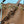 Celin Teen Clara Bag Brown Grained Calfskin 131626