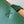 Sac fourre-tout pliable moyen LOE 31 en cuir de vachette brillant vert chasseur ambre 274319