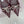 Jimmy Choo 26WF Pointed Toe Rhinestone Bow Chunky Heel Burgundy Sheepskin 573541