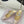 Jimmy Choo Classic Diamond Chain Point Toe Mules Light Pink Sheepskin 573547