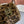 Chapeau en peluche marron imprimé léopard style coréen Chanel 979912