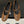 HM 26S Meli Ballet Flats Brown in Cowhide 593799