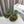 Loewe Mule doublée fourrure 25SS 100 verte en fourrure de renard 597443