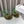 Loewe Mule doublée fourrure 25SS 100 verte en fourrure de renard 597443