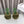 Loewe Mule doublée fourrure 25SS 100 verte en fourrure de renard 597443
