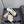Chanel 26 Classic Chunky Heel Open Back Sandal 95 White in Tweed Fabric 602494