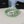 CC Women's Belt 3.0CM Light Green Cowhide White Black Buckle 597644