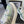 CC Sneaker Vert Argent Métallisé en Cuir de vachette 611666