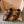 Miu 26FW Deck Shoes Brown in Calfskin 614789