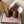 Miu 26FW Deck Shoes Brown in Calfskin 614789