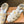 Miu Miu 26 Roman Sandals White in Cowhide 614719