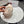 Prada 25 Iceland Beret Women's White in Plush 125816