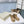 UNFOLIO 26SS Snow Ankel Boots Light Brown in Lambswool and Cow Suede 629523