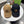 Gucci Baseball Cap Brown in Canvas 194028