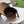 Gucci Baseball Cap Brown in Canvas 194028