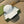 Gucci Baseball Cap White in Canvas 193827